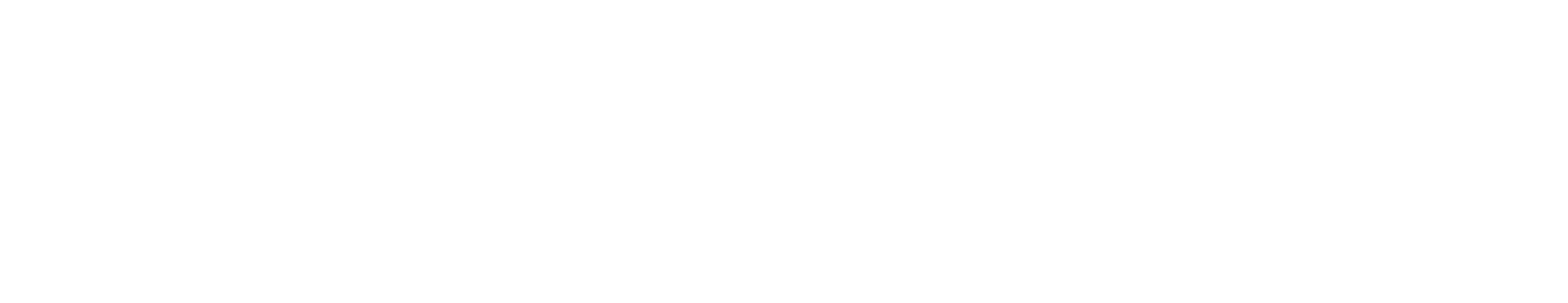 inBiznes